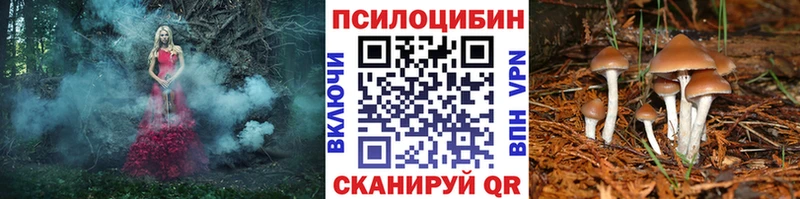 kraken ТОР  Кимовск  Псилоцибиновые грибы прущие грибы 