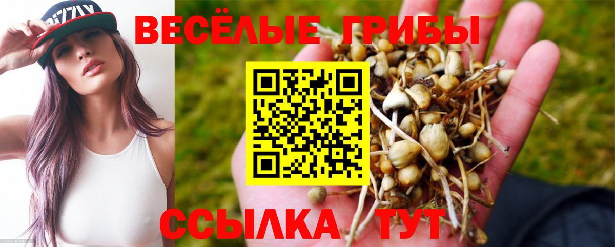 Галлюциногенные грибы Cubensis Кимовск