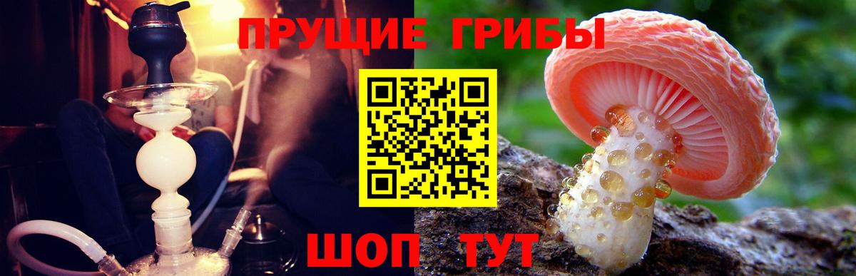 Кимовск  Галлюциногенные грибы мухоморы  закладки  Псилоцибиновые грибы Psilocybe  Вход с VPN 